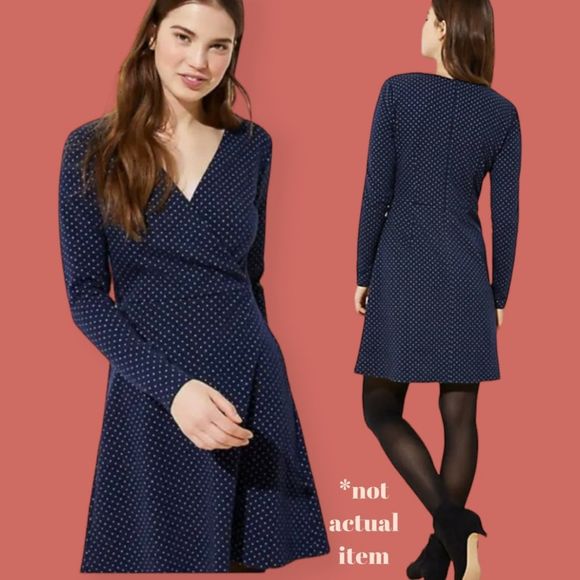 🔵 LOFT POLKA DOT JACQUARD LONG SLEEVE FIT&FLARE SKATER DRESS BLUE SIZE 2 - Picture 1 of 5